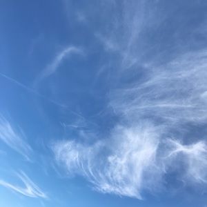 Meet your Posher, Julianne